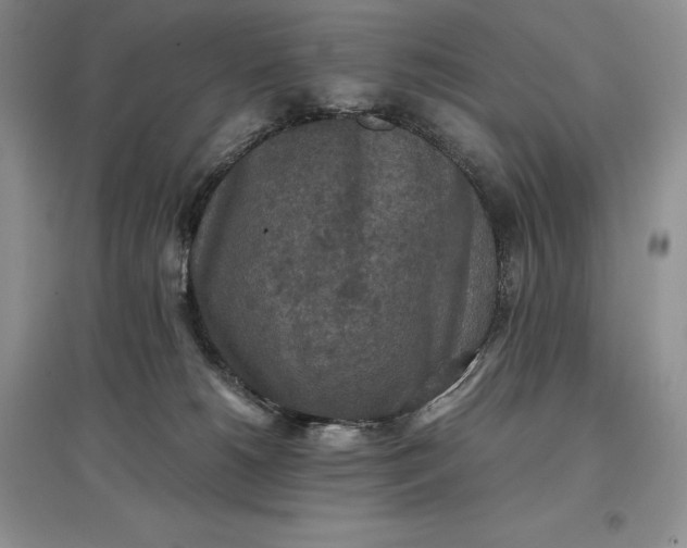 X0000097600180200803141924