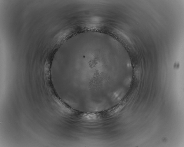 X0000097600181200803141924
