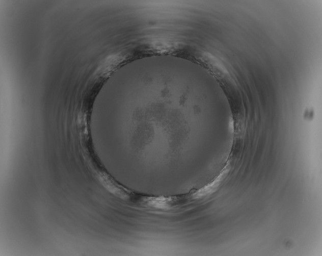 X0000097600182200803141924