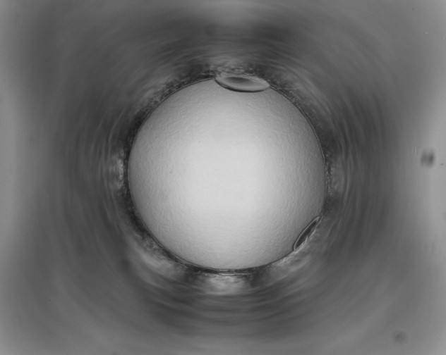 X0000097600183200803141924