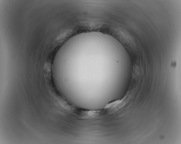 X0000097600184200803141924