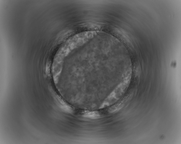 X0000097600185200803141924