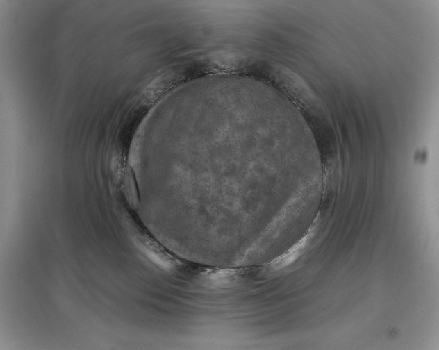 X0000097600186200803141924