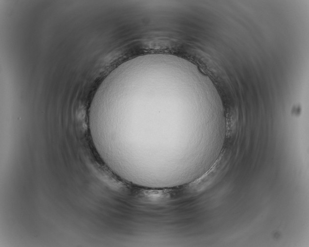 X0000097600187200803141924