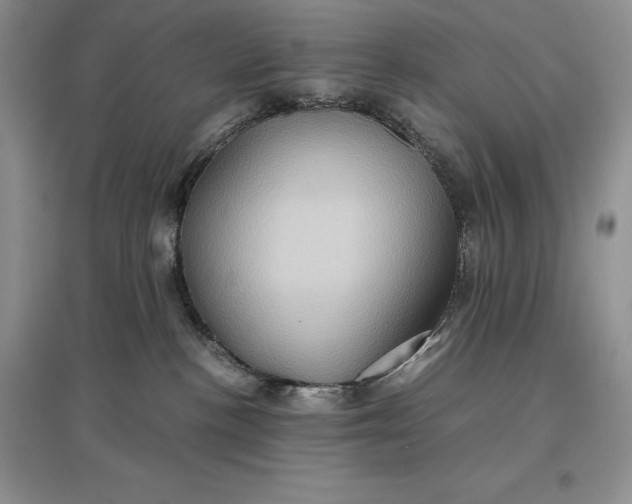 X0000097600188200803141924
