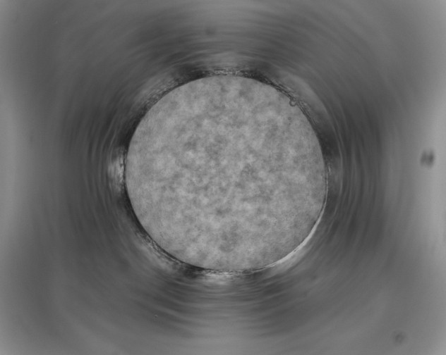 X0000097600190200803141925