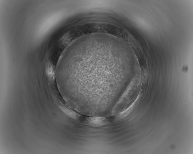 X0000097600191200803141925
