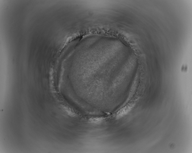 X0000097600192200803141925