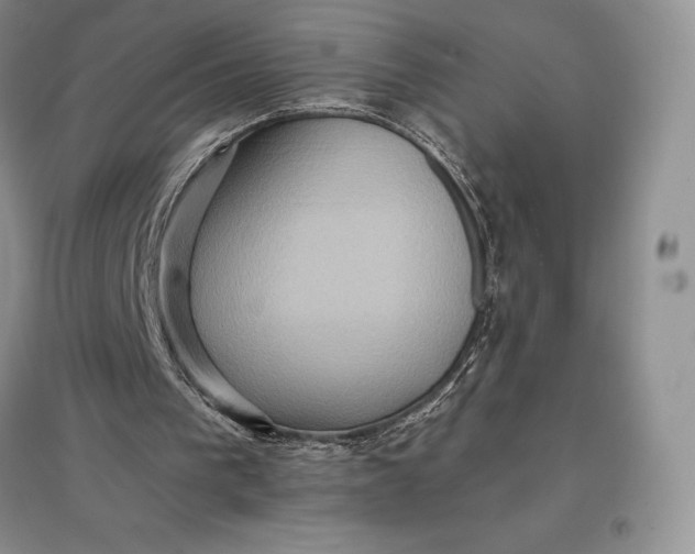 X0000097600193200803141924