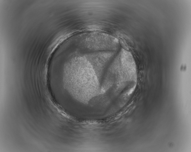 X0000097600194200803141924