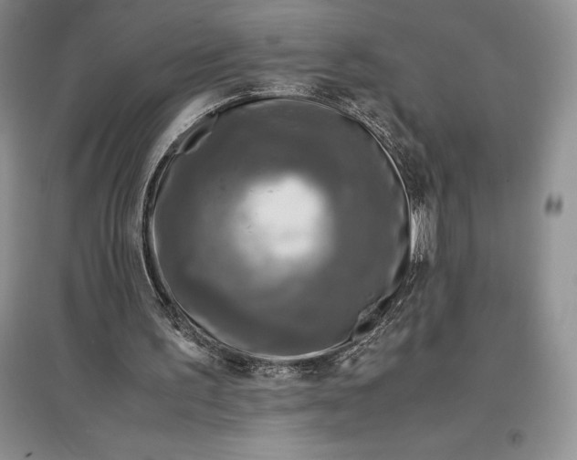 X0000097600195200803141924