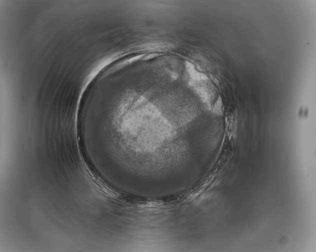 X0000097600196200803141924