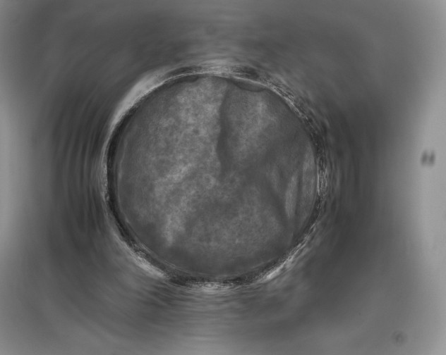 X0000097600198200803141924