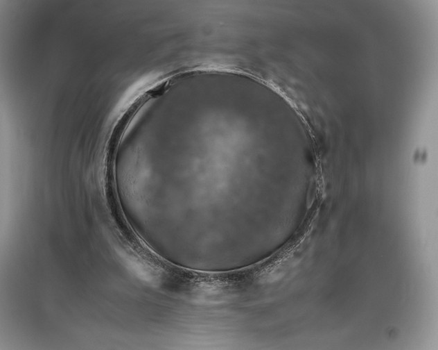 X0000097600199200803141924