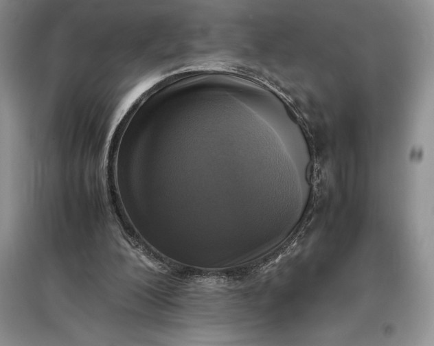 X0000097600200200803141924