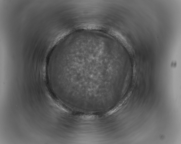 X0000097600202200803141924