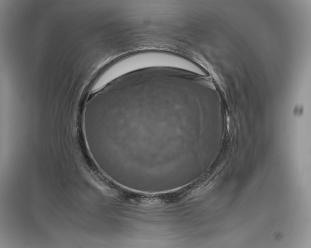 X0000097600203200803141924