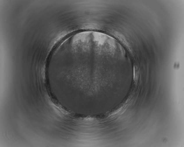 X0000097600204200803141924