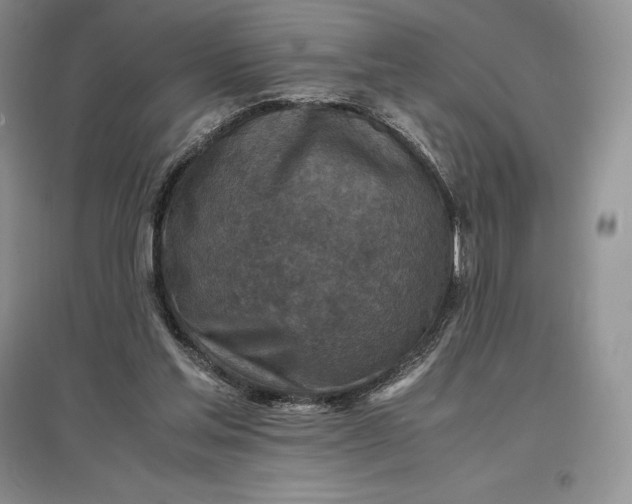X0000097600205200803141924