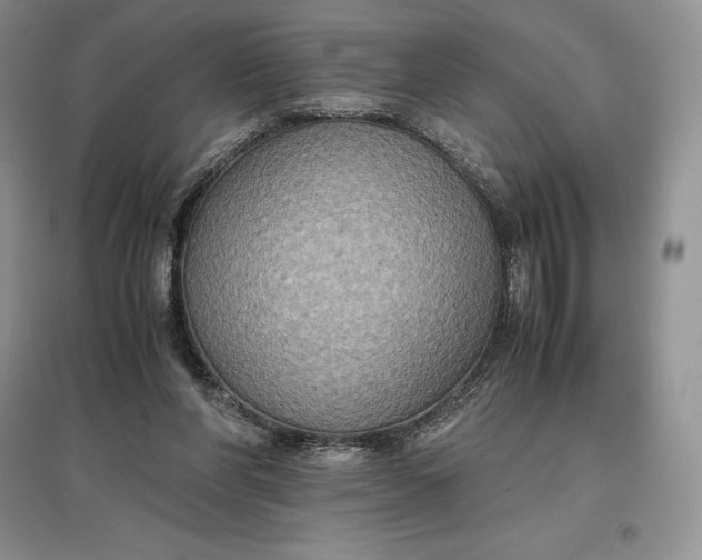 X0000097600206200803141924