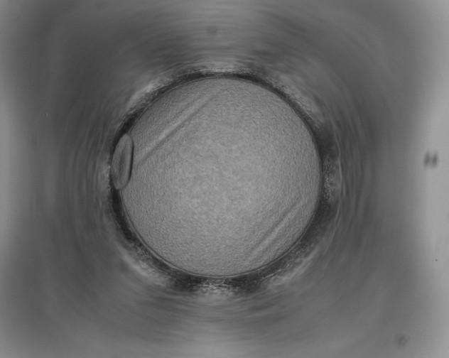 X0000097600207200803141924