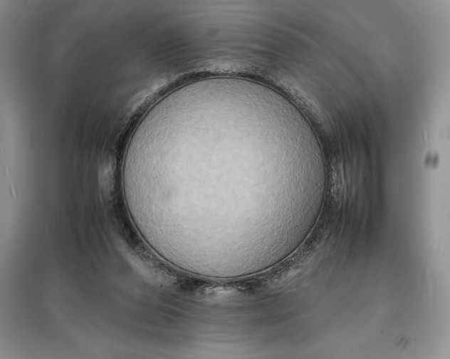 X0000097600208200803141924