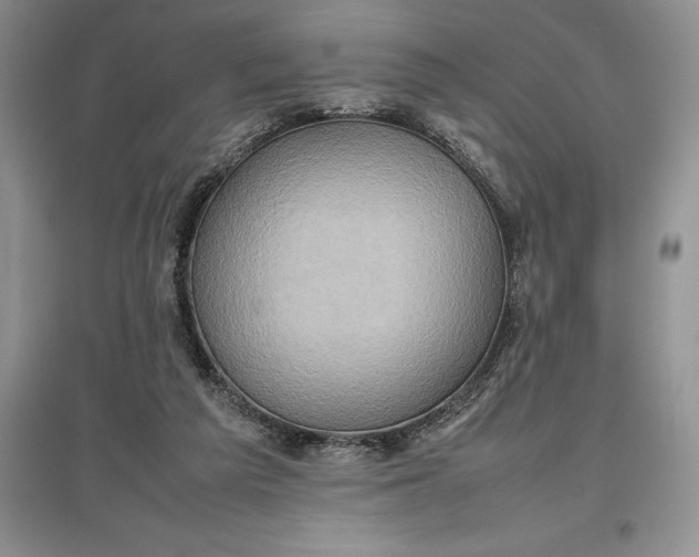 X0000097600209200803141924