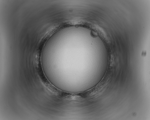 X0000097600210200803141924