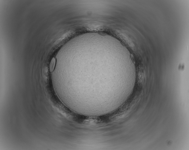 X0000097600211200803141924