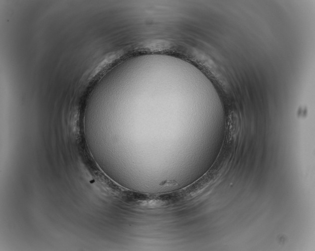 X0000097600212200803141924
