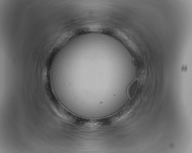 X0000097600213200803141924