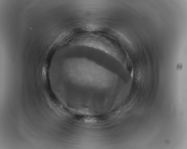 X0000097600214200803141924