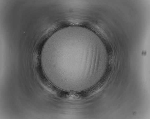 X0000097600215200803141924