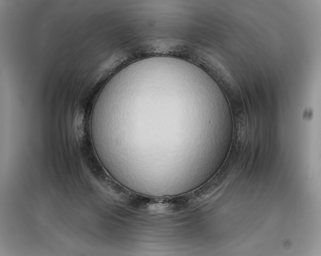 X0000097600216200803141924