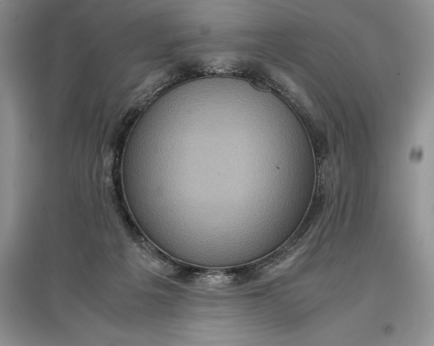 X0000097600217200803141924
