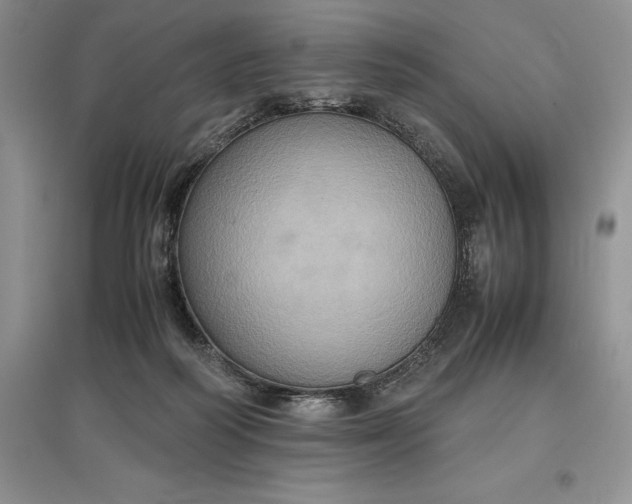 X0000097600218200803141924