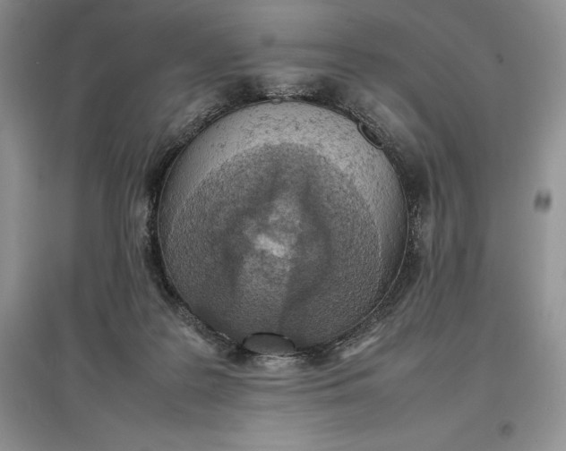 X0000097600219200803141924