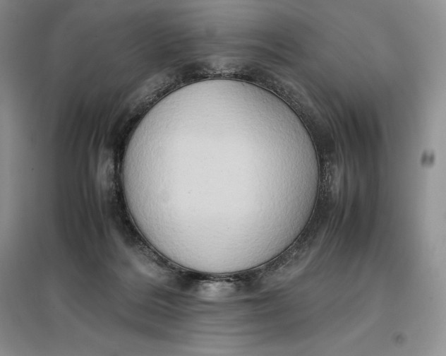 X0000097600220200803141924