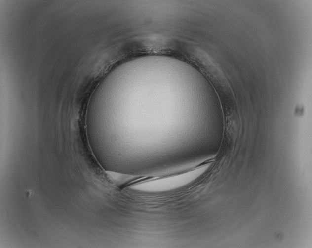 X0000097600221200803141924
