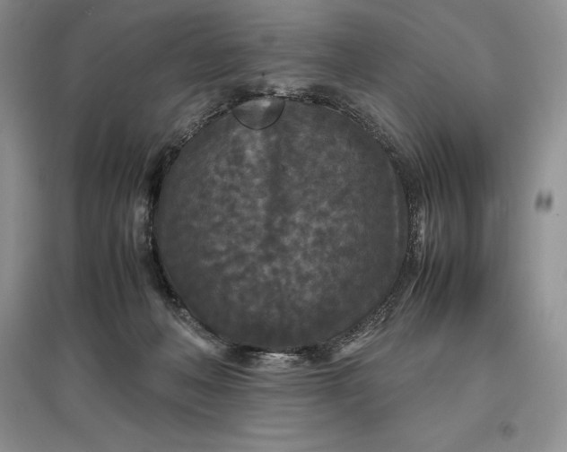 X0000097600222200803141923