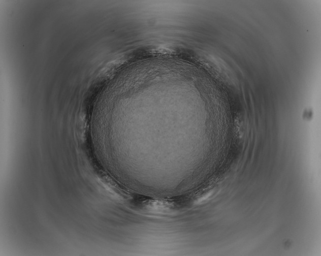 X0000097600223200803141923