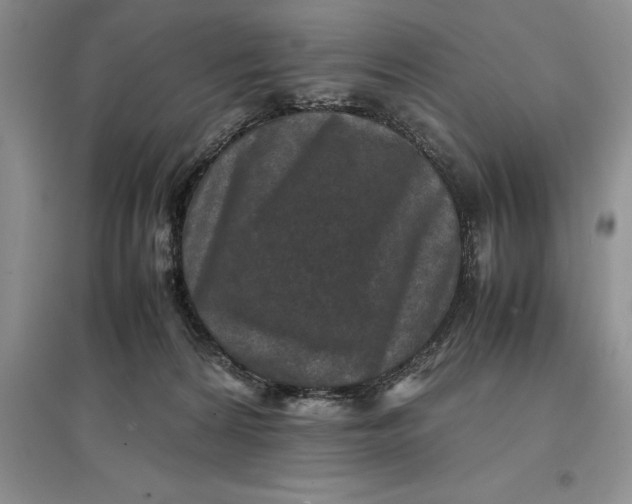 X0000097600224200803141923