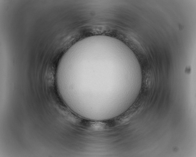 X0000097600226200803141923