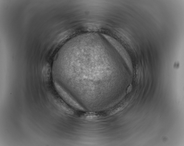 X0000097600228200803141923