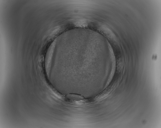 X0000097600229200803141923