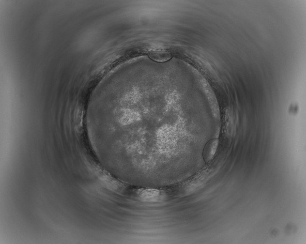 X0000097600230200803141923