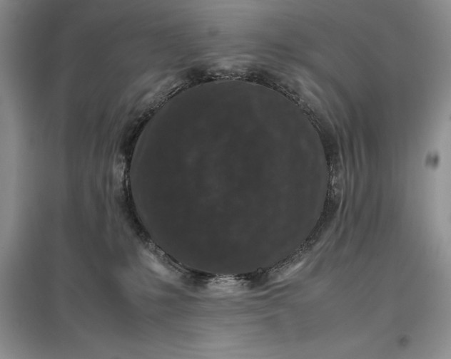 X0000097600231200803141923