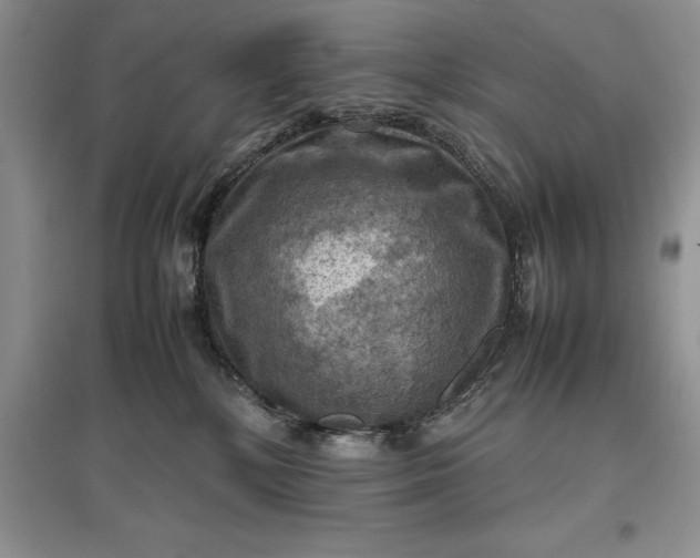 X0000097600232200803141923