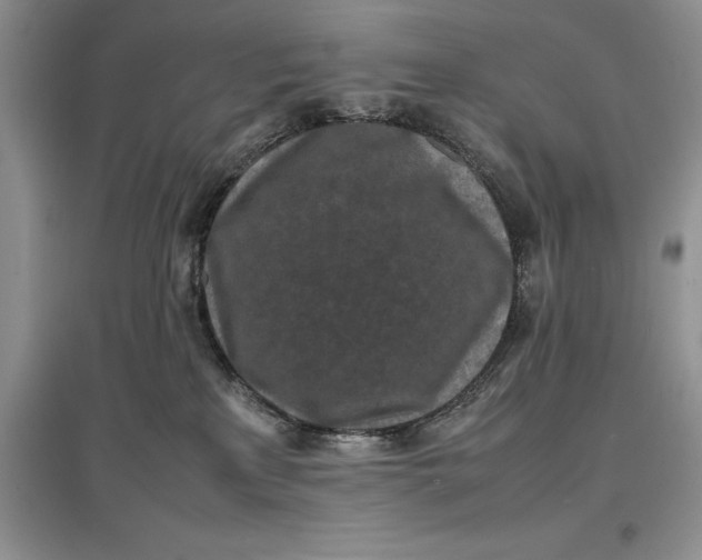 X0000097600233200803141923