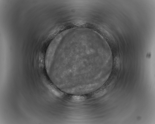 X0000097600234200803141923